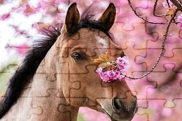 Cavalo jigsaw puzzle