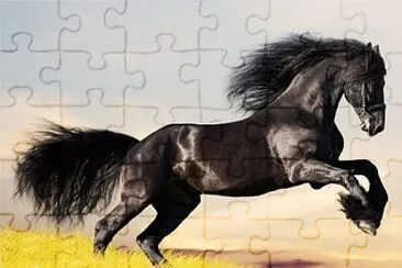 . jigsaw puzzle