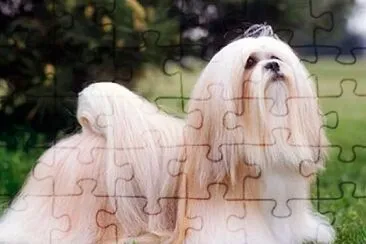 . jigsaw puzzle