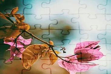 Galho em flor jigsaw puzzle