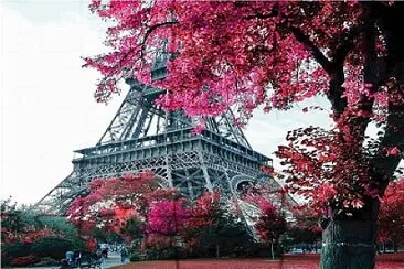 pink paris jigsaw puzzle