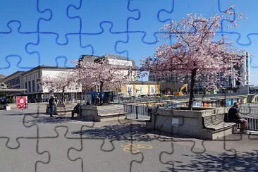 Neuchatel cerisier du Japon jigsaw puzzle