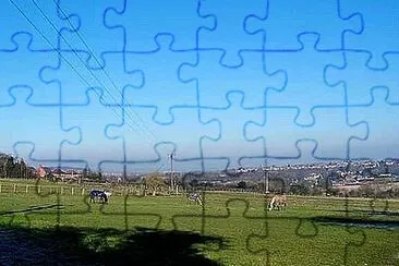 Horses In Field jigsaw puzzle