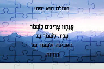 פאזל של 