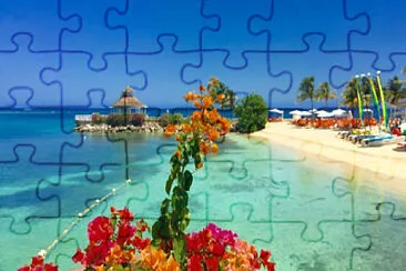 mar jigsaw puzzle