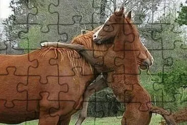 134 jigsaw puzzle