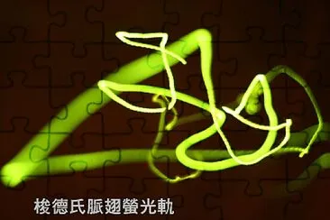 梭德氏脈翅螢光軌 jigsaw puzzle