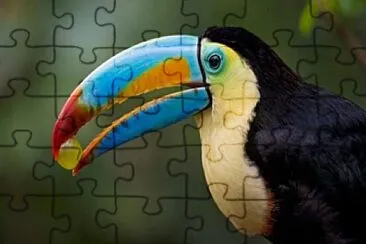 animales jigsaw puzzle