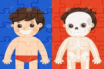 Quebra - cabeça  do corpo Encaixe as peças com atenção jigsaw puzzle