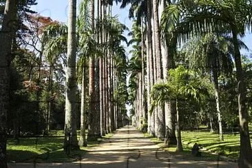 פאזל של Rio de Janeiro - Brasil