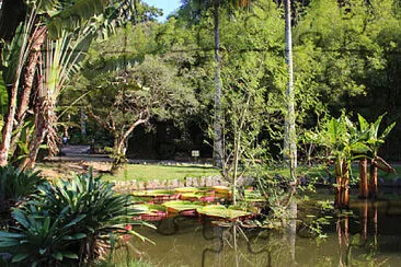 Rio de Janeiro - Brasil