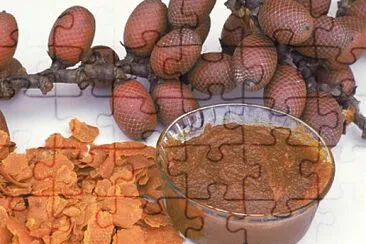 comida brasileira jigsaw puzzle