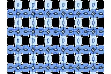 פאזל של perceptual illusion 2