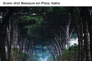 Bosques Pisa Italia