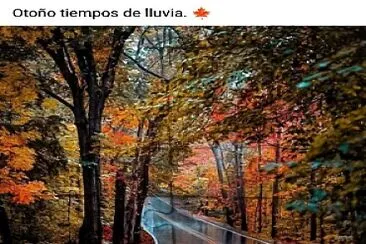 Otoño 1 jigsaw puzzle