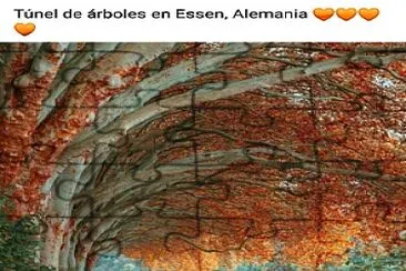 Tunel de aboles Alemania jigsaw puzzle