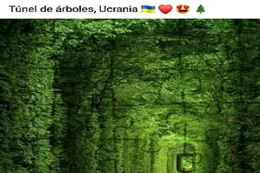 Tunel de arboles Ucrania jigsaw puzzle