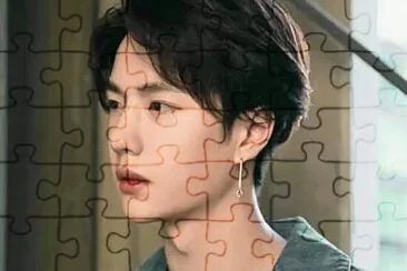 Chinese actor Wang Yibo jigsaw puzzle