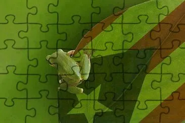 Coquí de Puerto Rico jigsaw puzzle