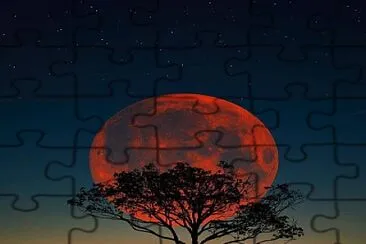 que  es del paisaje jigsaw puzzle