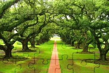 que  es del paisaje jigsaw puzzle