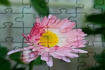 Flor jigsaw puzzle