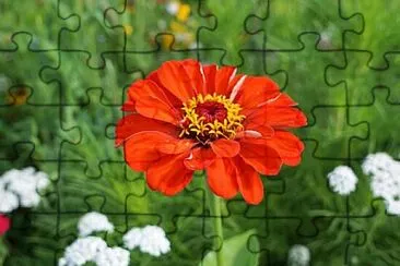 OK jigsaw puzzle