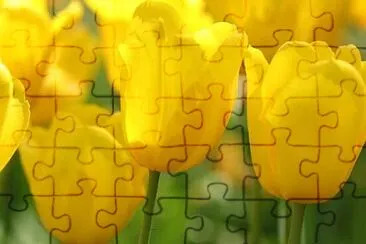 OK jigsaw puzzle