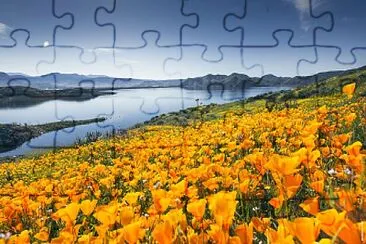 Flor e rio jigsaw puzzle