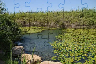 נוף ירקון jigsaw puzzle