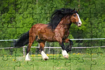 Vladimir jigsaw puzzle