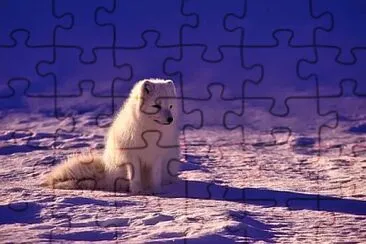 a jigsaw puzzle