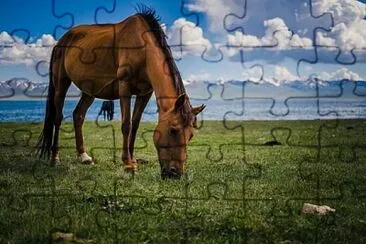 Nuovo kirghiso jigsaw puzzle