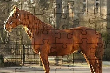 Federiksborg jigsaw puzzle