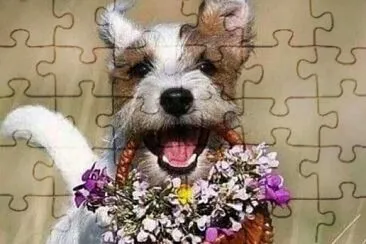 Flores jigsaw puzzle