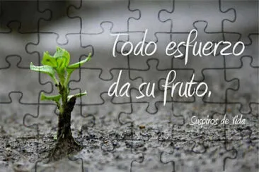 frases jigsaw puzzle