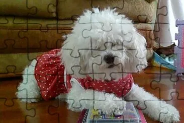 Perrita Colegiala jigsaw puzzle