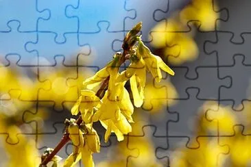 OK jigsaw puzzle