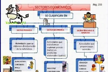 ACTIVIDADES