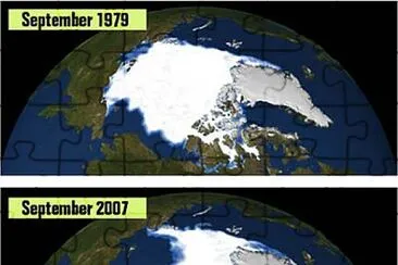 פאזל של ARTIC SEA ICE