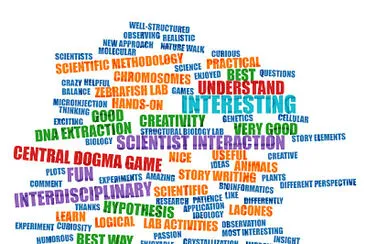 feedback word cloud