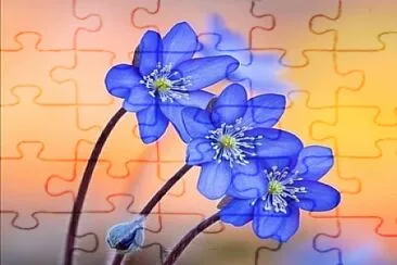 CENÁRIO K543 jigsaw puzzle