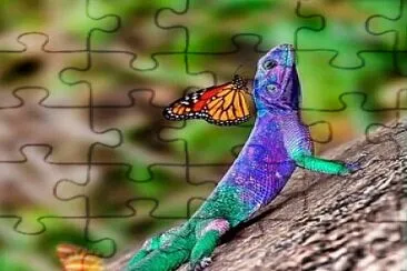 iguana y mariposa jigsaw puzzle