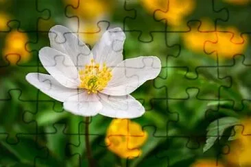 OK jigsaw puzzle