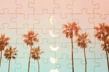 Fases da lua jigsaw puzzle