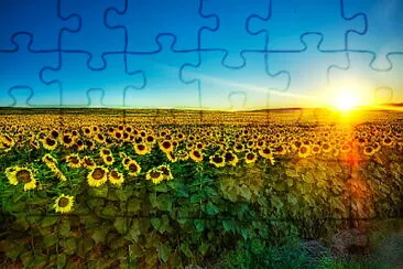 CAMPO jigsaw puzzle