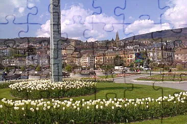 Neuchâtel Tulipes Blanches jigsaw puzzle