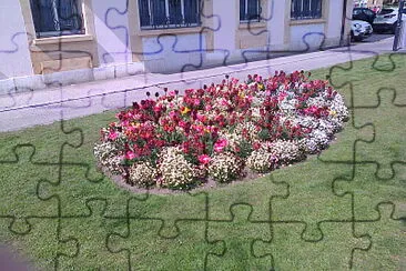 Neuchâtel tulipes et pensées jigsaw puzzle