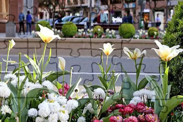 flores en la calle