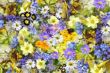 Petites fleurs jigsaw puzzle